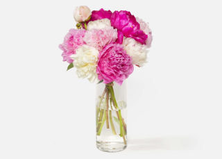 The Grower's Choice Peony image number 0